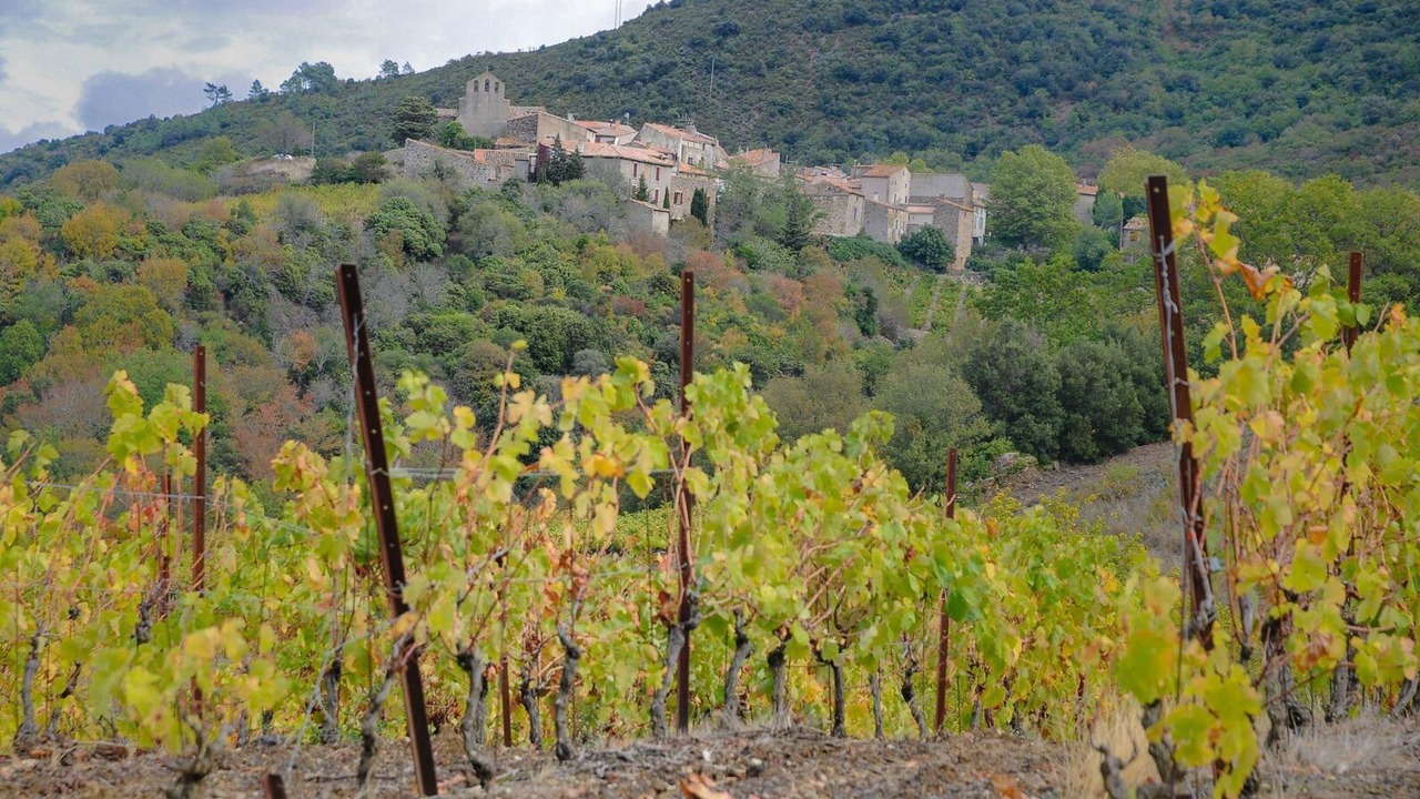 Photo of Others in Quintillan