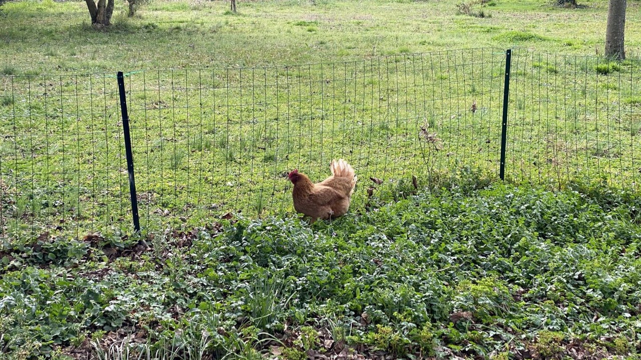 Photo of Others in Trebes