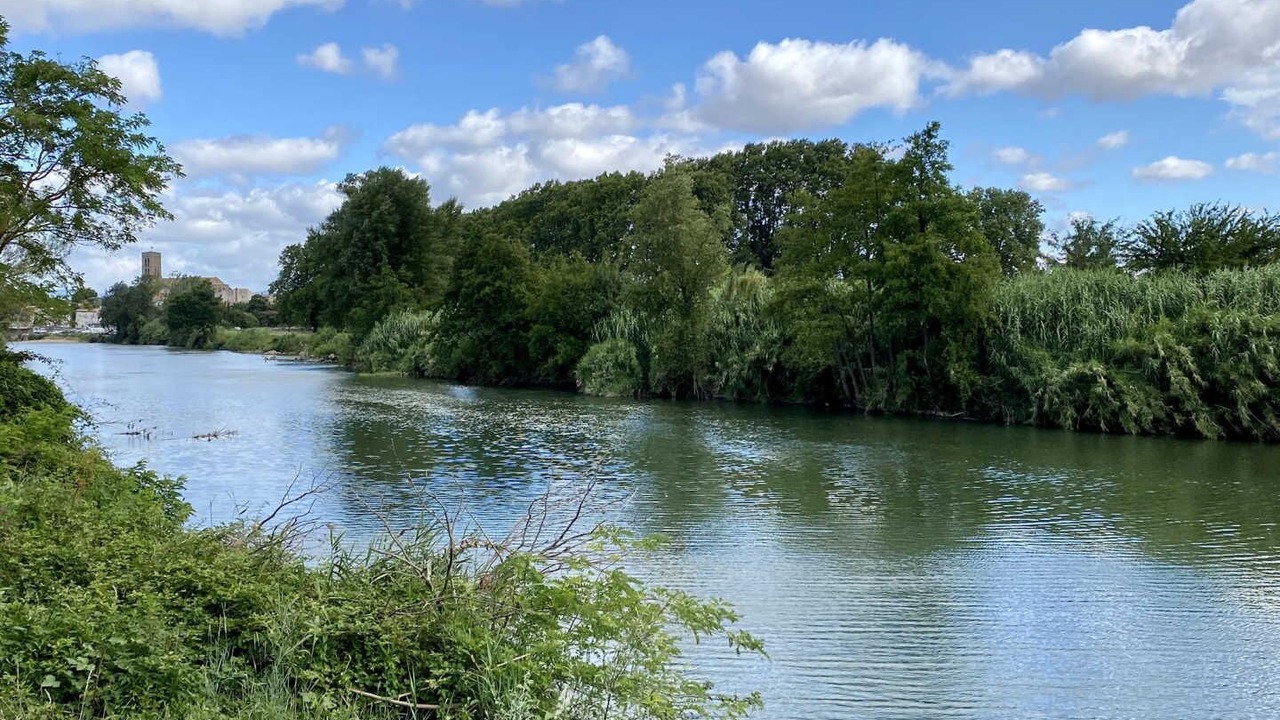 Photo of Others in Trebes