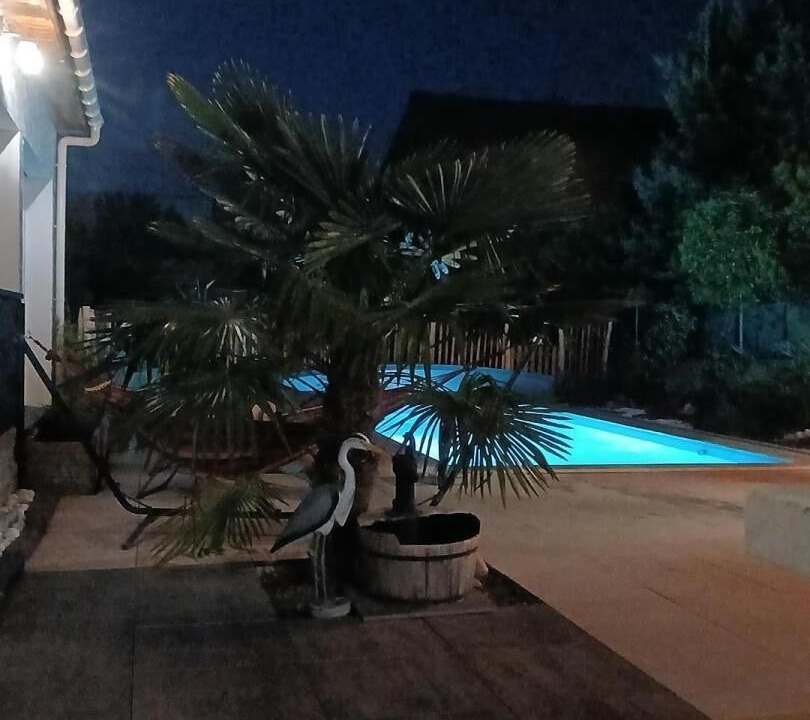Photo of Outdoor in Canet