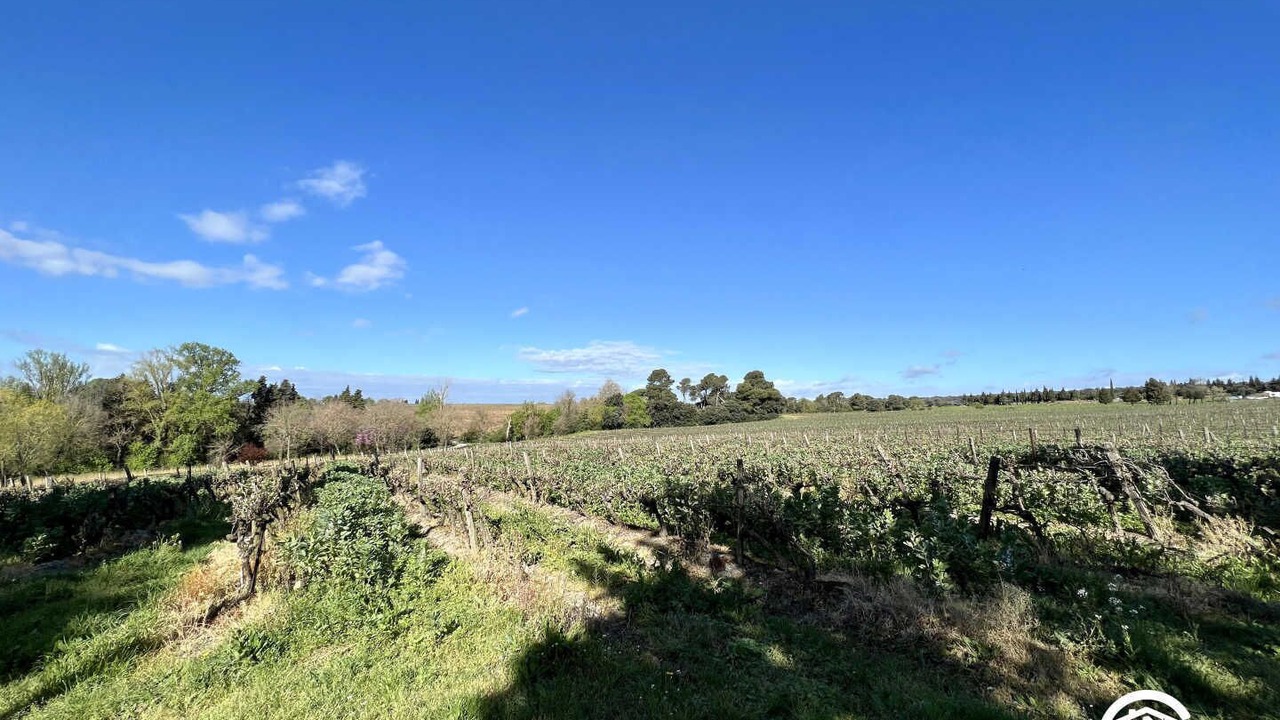 Photo of Others in Moussoulens