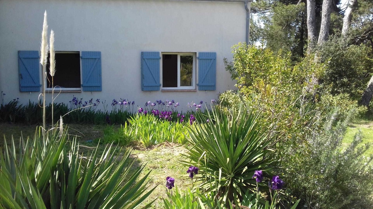 Photo of Outdoor in Sainte-Eulalie