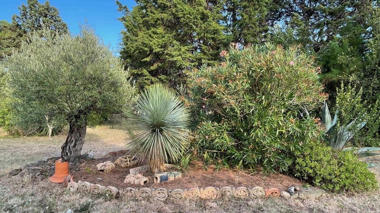 Photo of Outdoor in Sainte-Eulalie