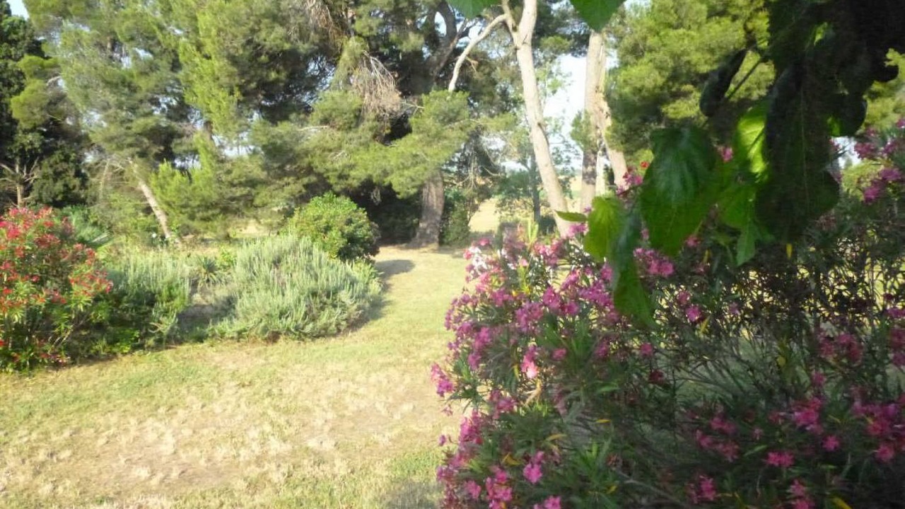 Photo of Outdoor in Sainte-Eulalie