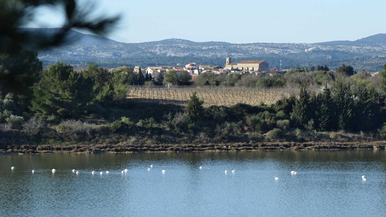 Photo of Others in Sigean