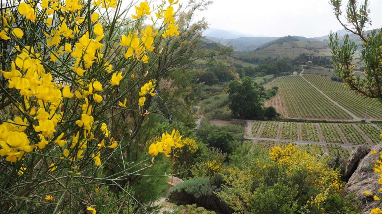 Photo of Others in Planezes