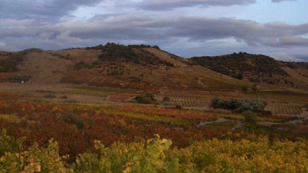 Photo of Others in Planezes