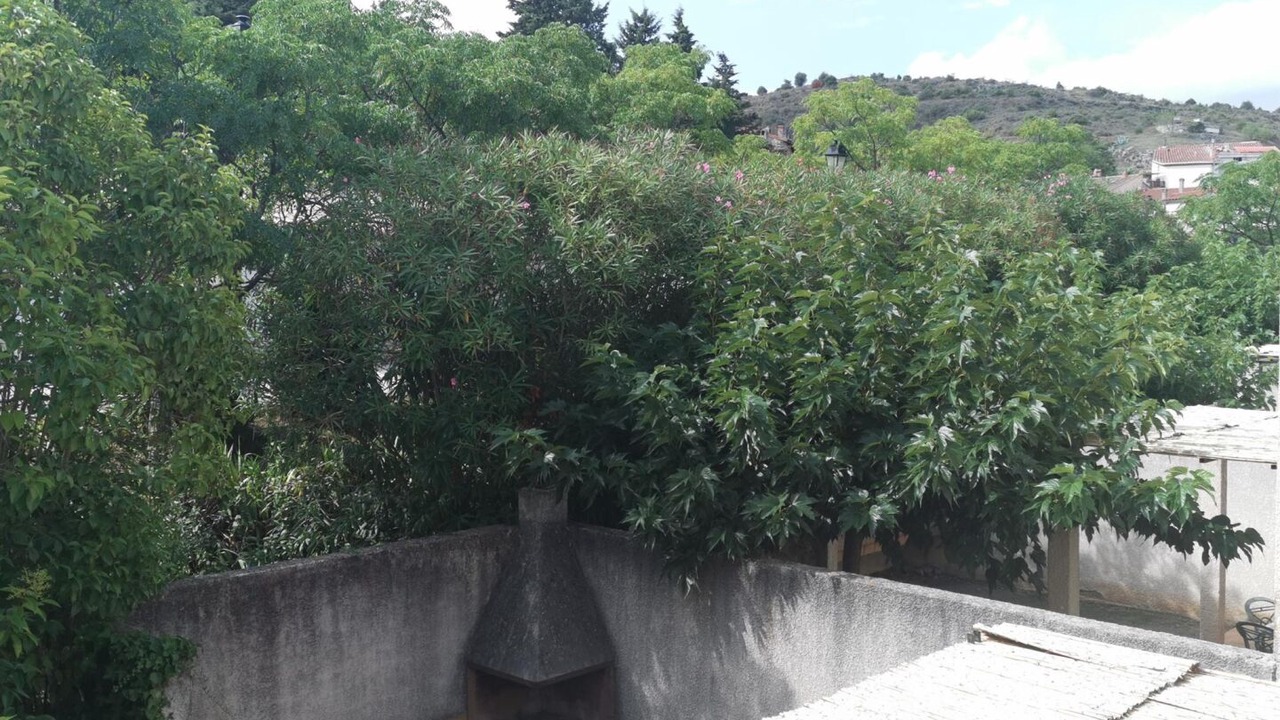 Photo of Outdoor in Trilla
