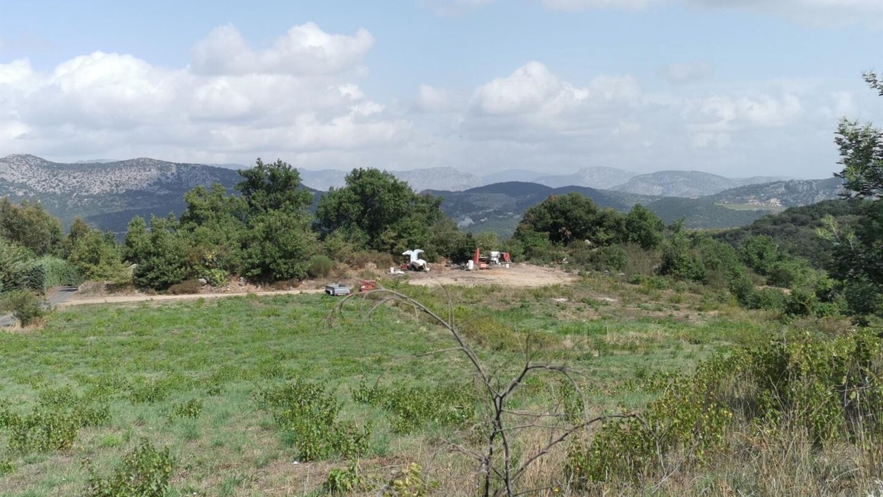 Photo of Others in Trilla