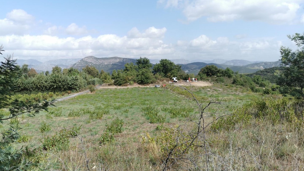 Photo of Others in Trilla