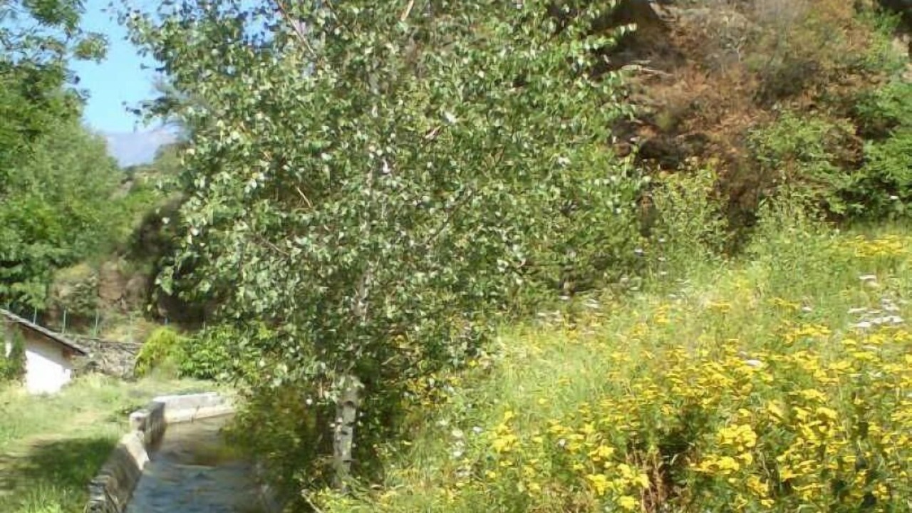 Photo of Others in Latour-de-Carol