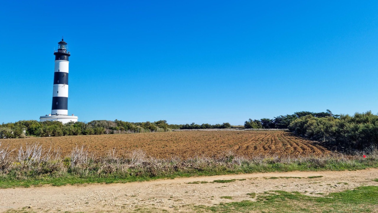 Photo of Others in Port District