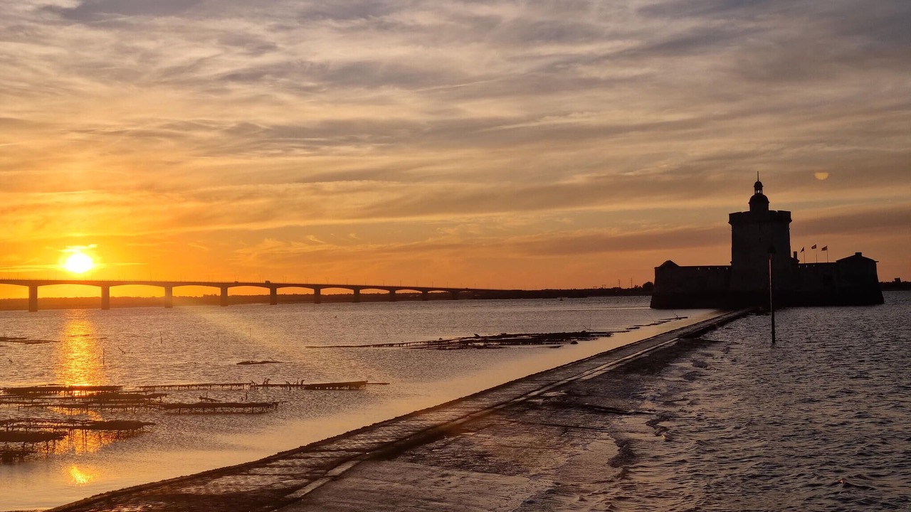 Photo of Others in Port District