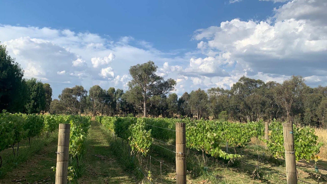 Photo of Others in Orange