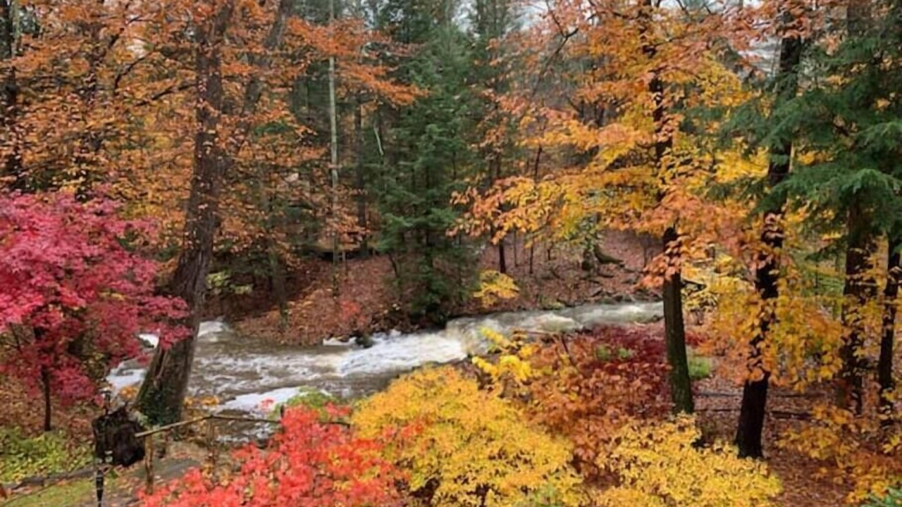 Photo of Others in Kerhonkson