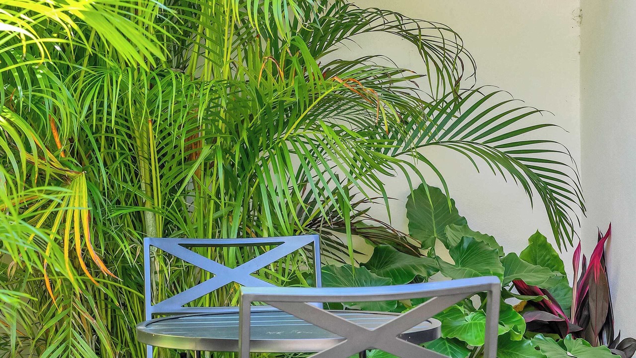 Photo of Outdoor in Beverly Heights