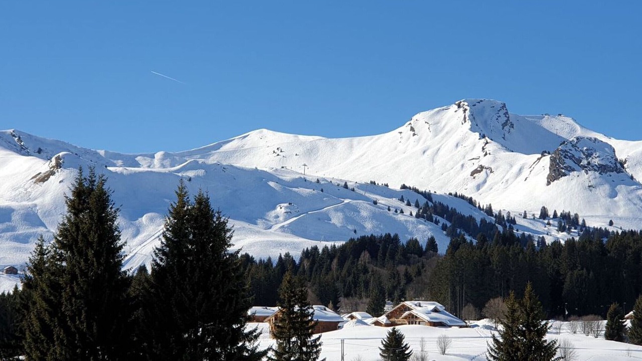 Photo of Others in Le Praz de Lys