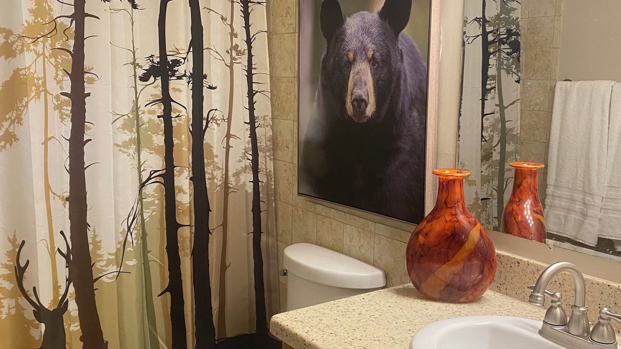 Photo of Bathroom in North Little Rock