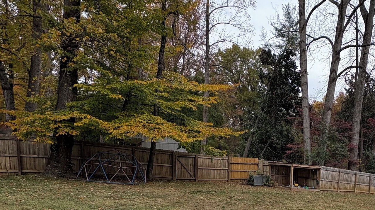 Photo of Outdoor in Greensboro