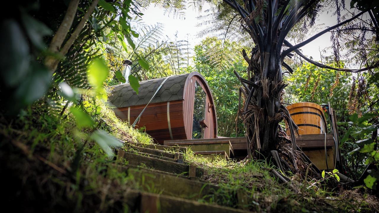 Photo of Outdoor in Mokau