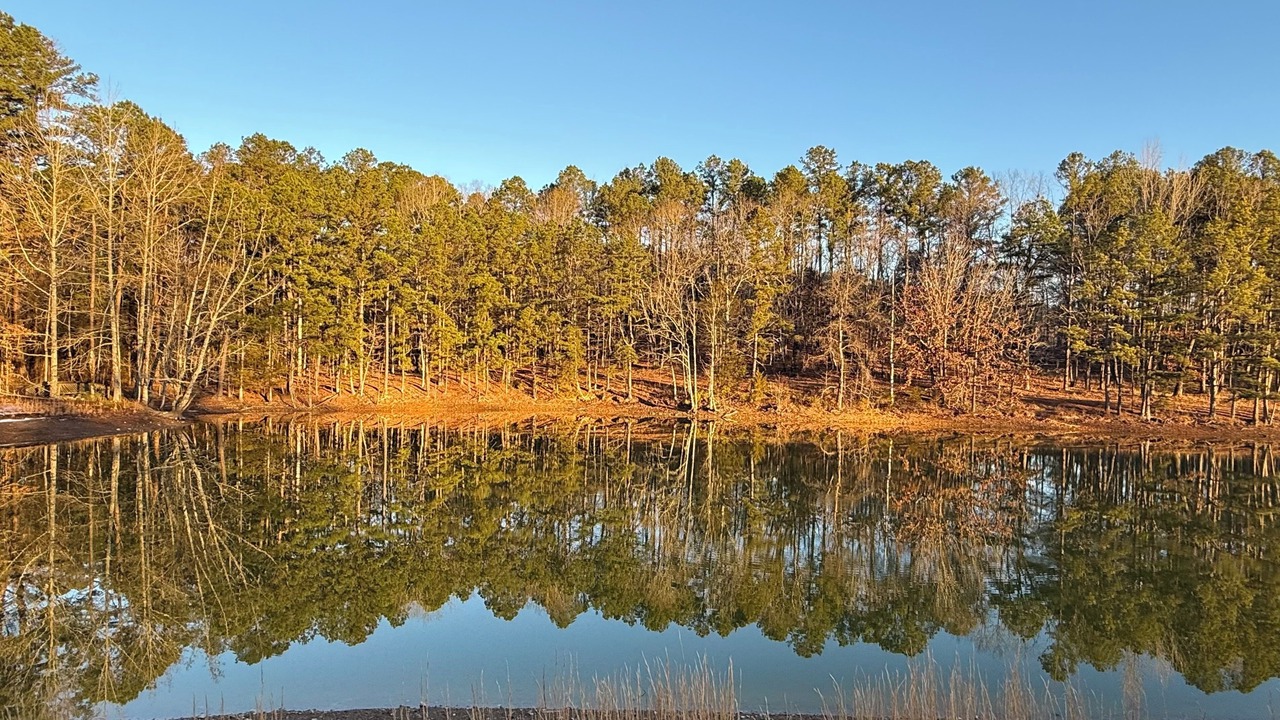Photo of Others in Caddo Gap