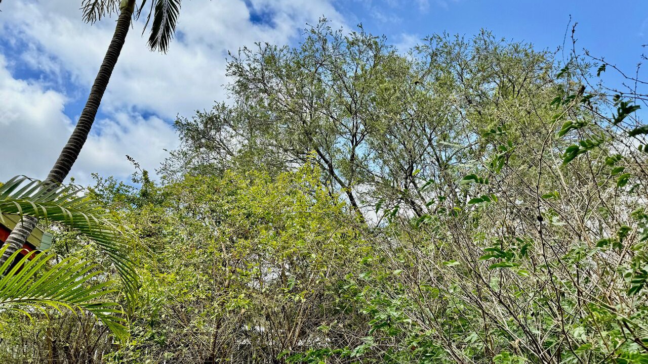 Photo of Others in Everton Park