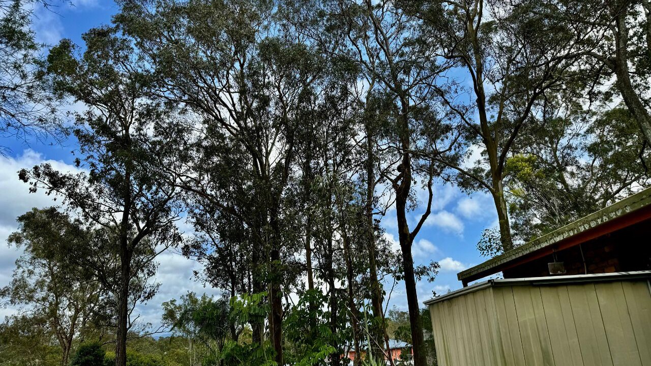 Photo of Others in Everton Park