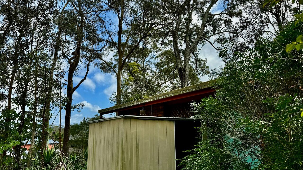 Photo of Outdoor in Everton Park
