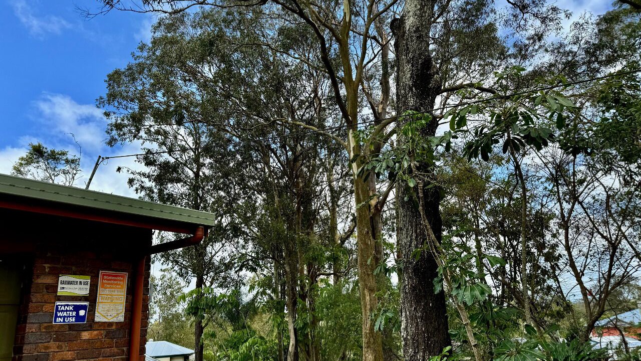 Photo of Others in Everton Park