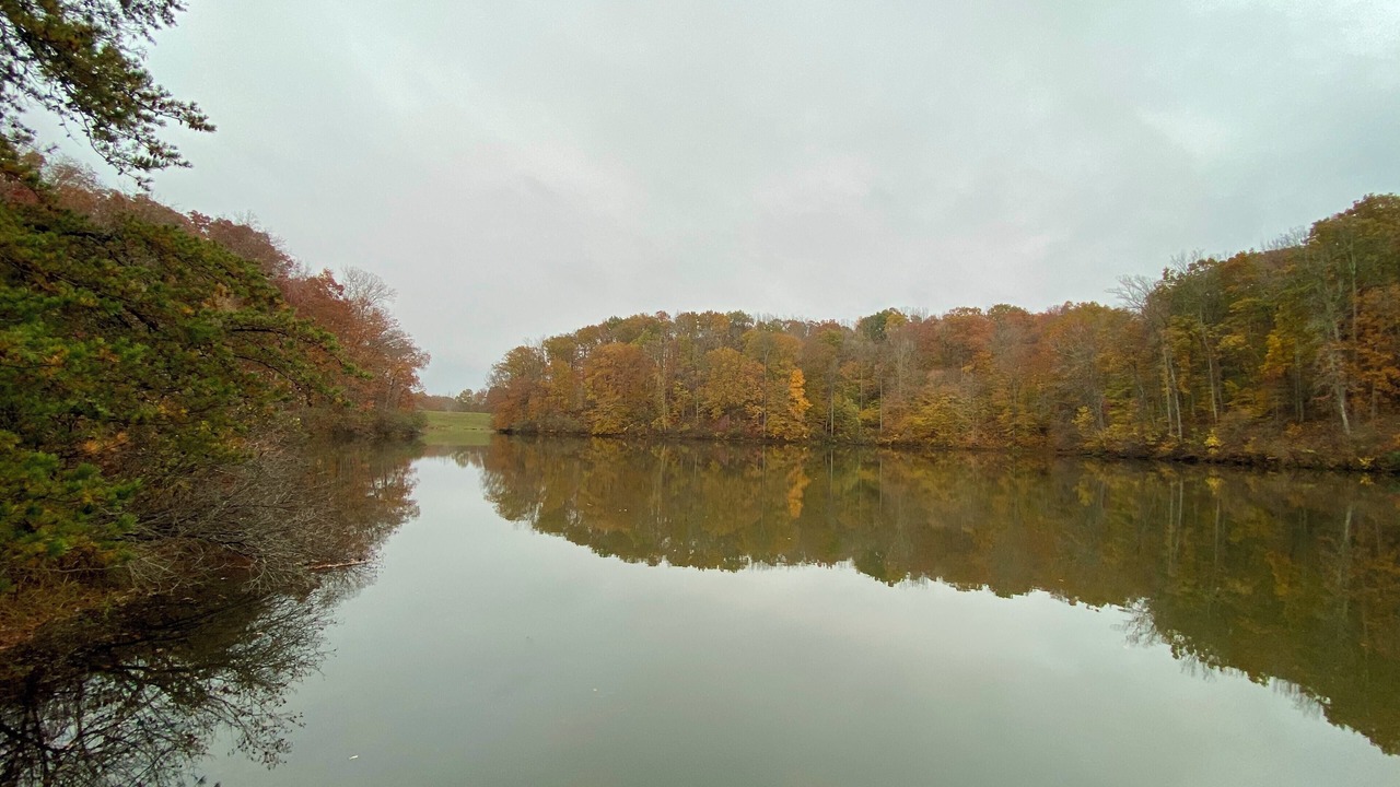 Photo of Others in Pamplin