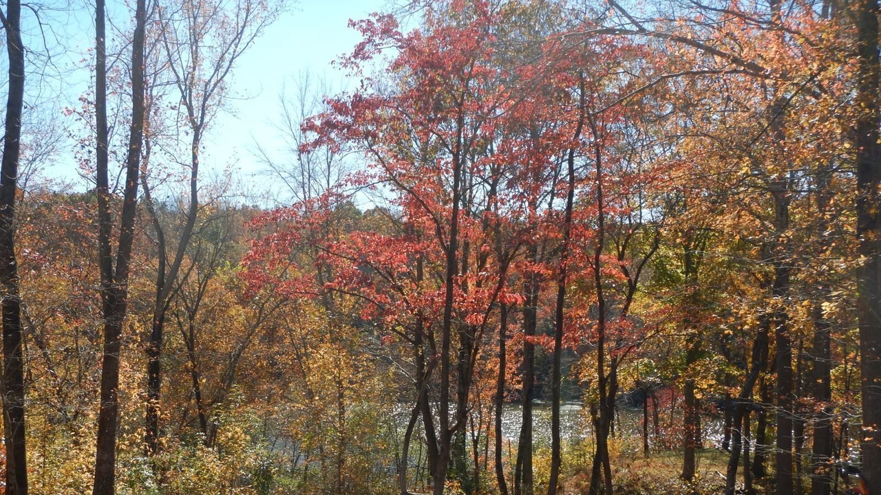 Photo of Others in Pamplin