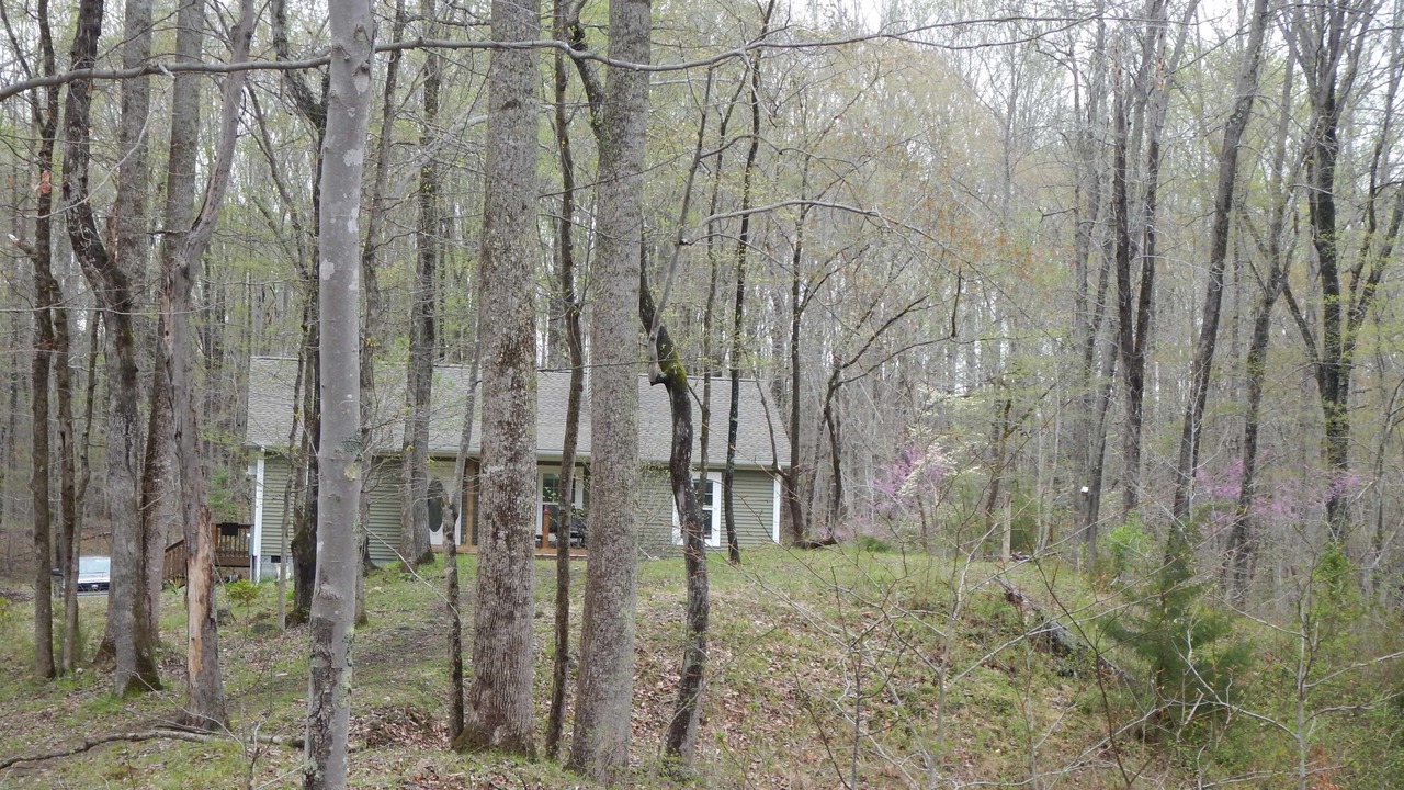 Photo of Outdoor in Pamplin
