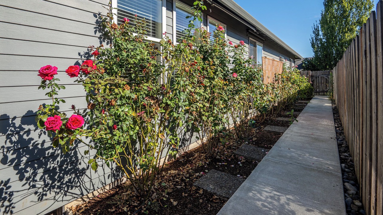 Photo of Outdoor in Canby