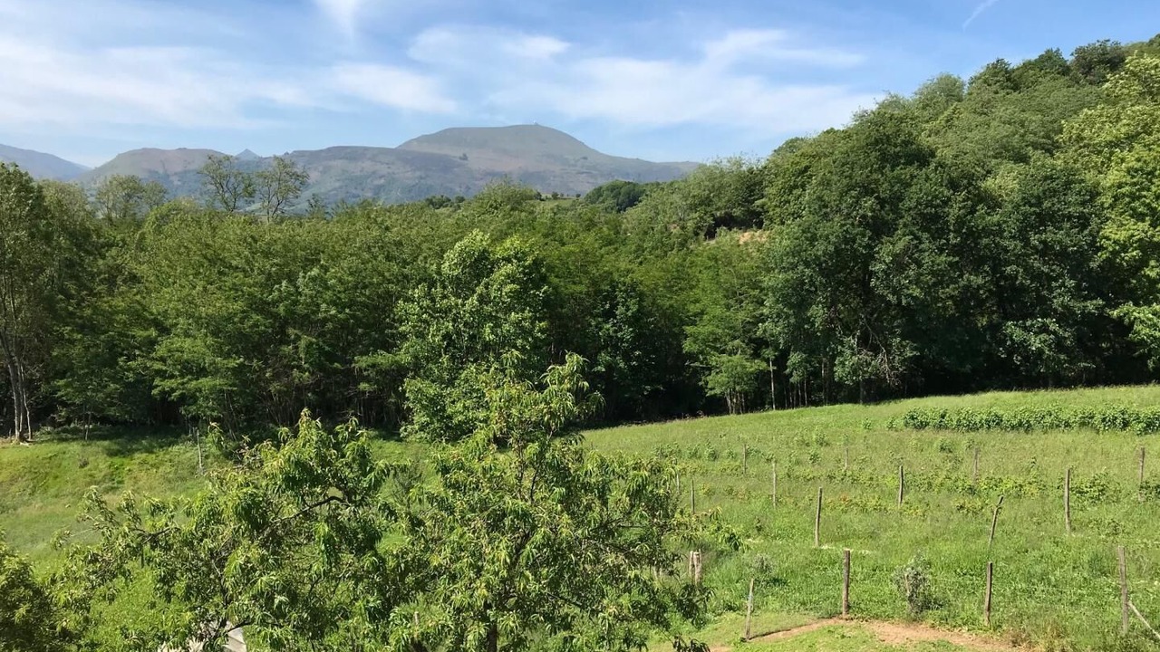 Photo of Others in Macaye