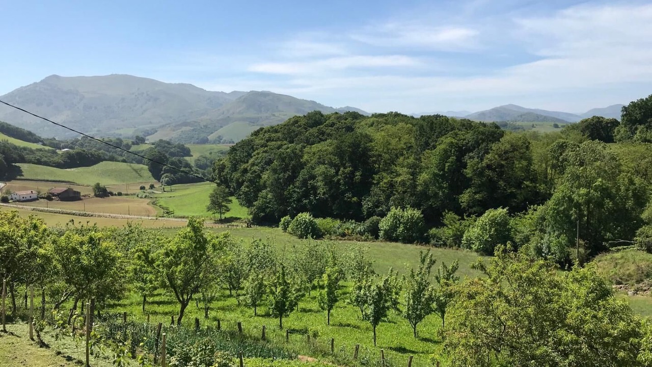 Photo of Others in Macaye