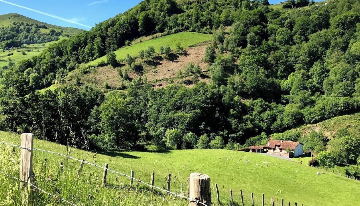 Photo of Others in Saint-Etienne-de-Baigorry