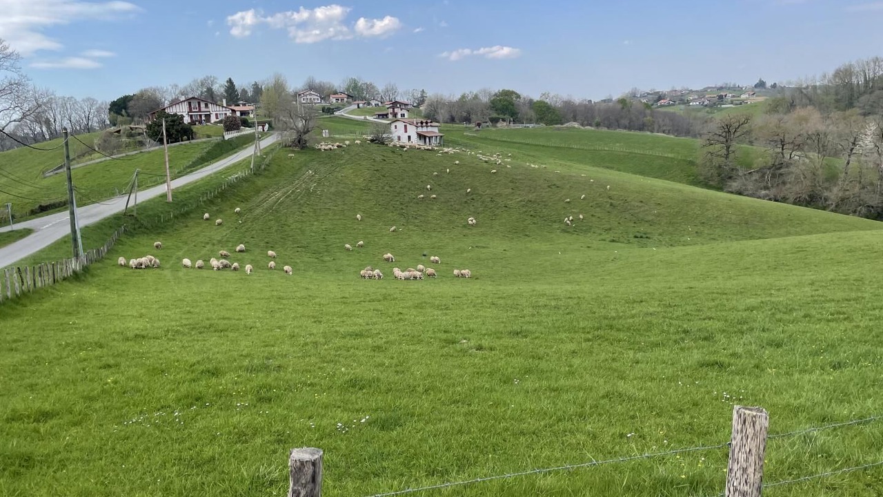 Photo of Others in Souraide