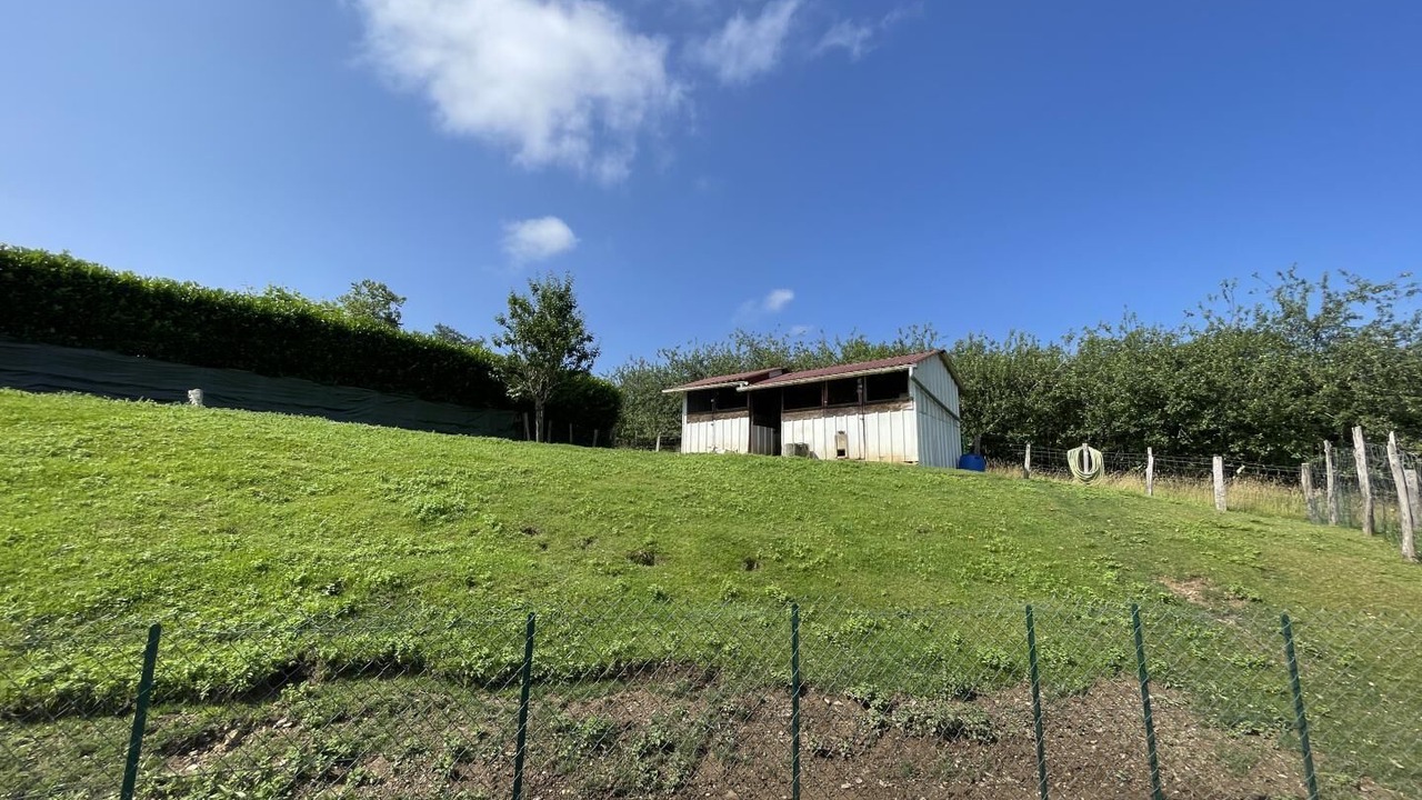 Photo of Outdoor in Sare