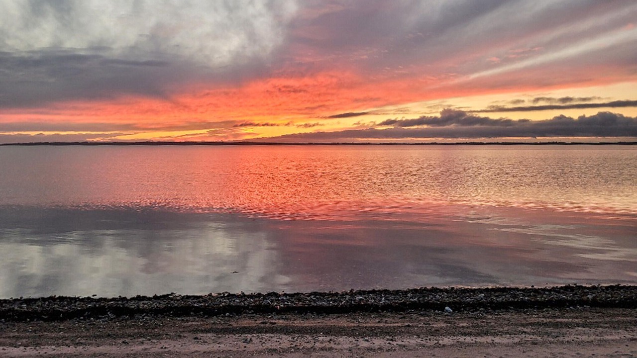 Photo of Others in Farso