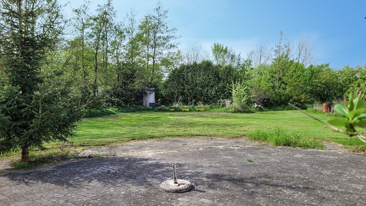 Photo of Others in Farso