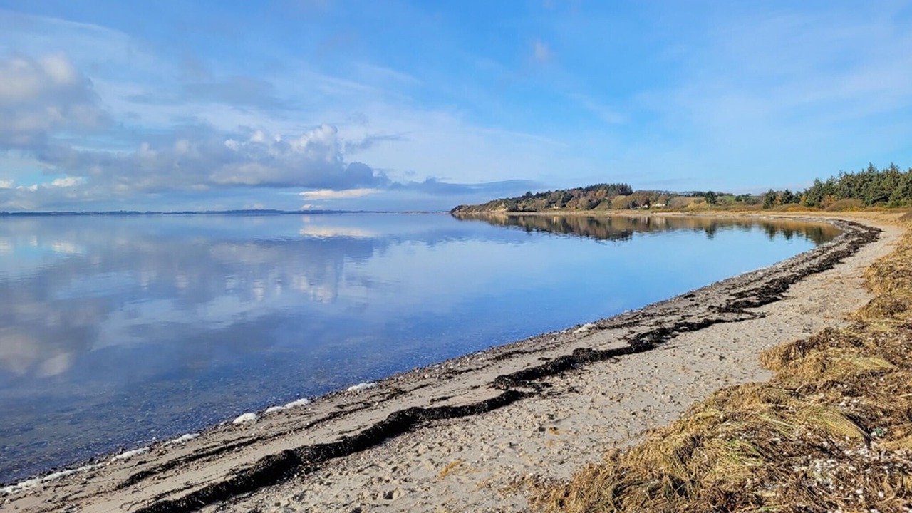 Photo of Others in Farso