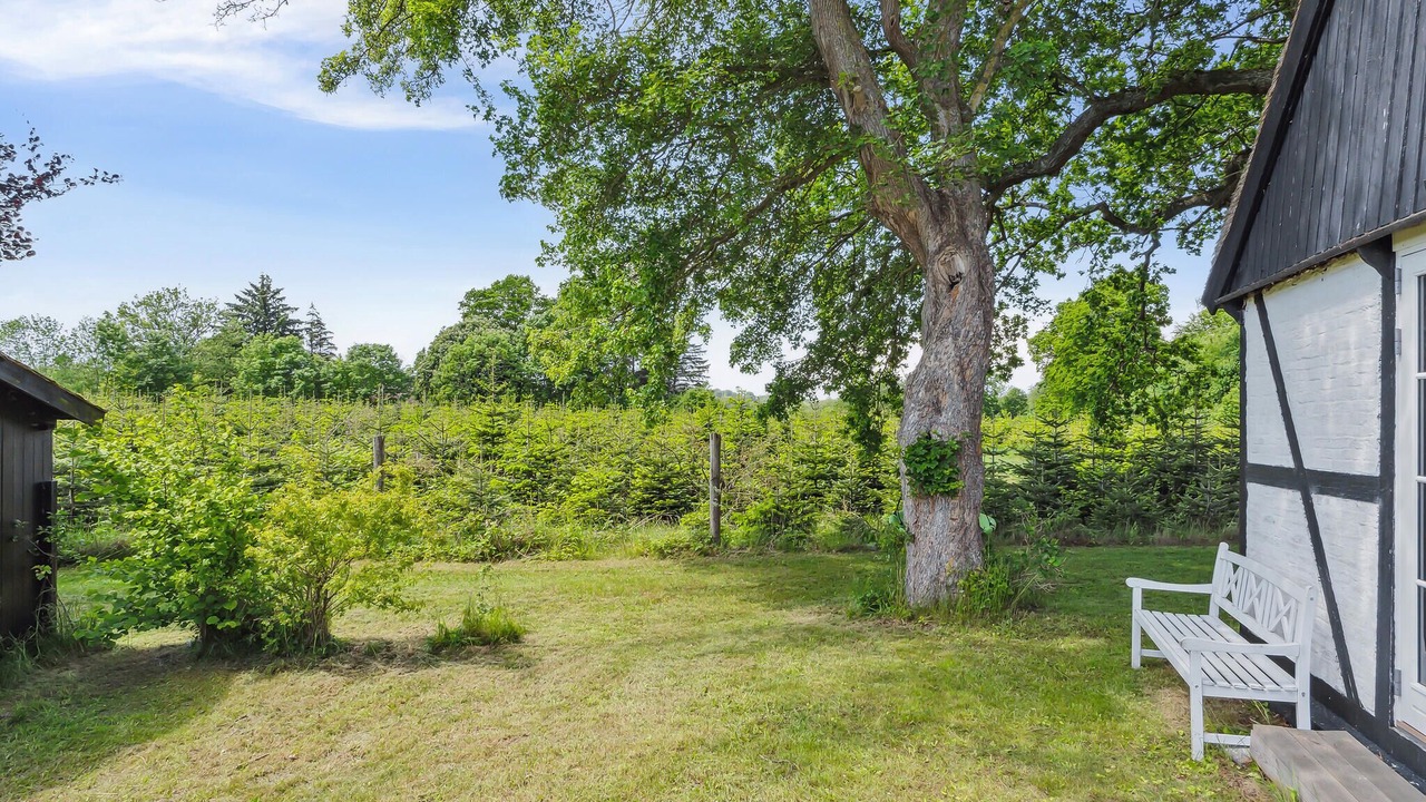 Photo of Others in Praesto