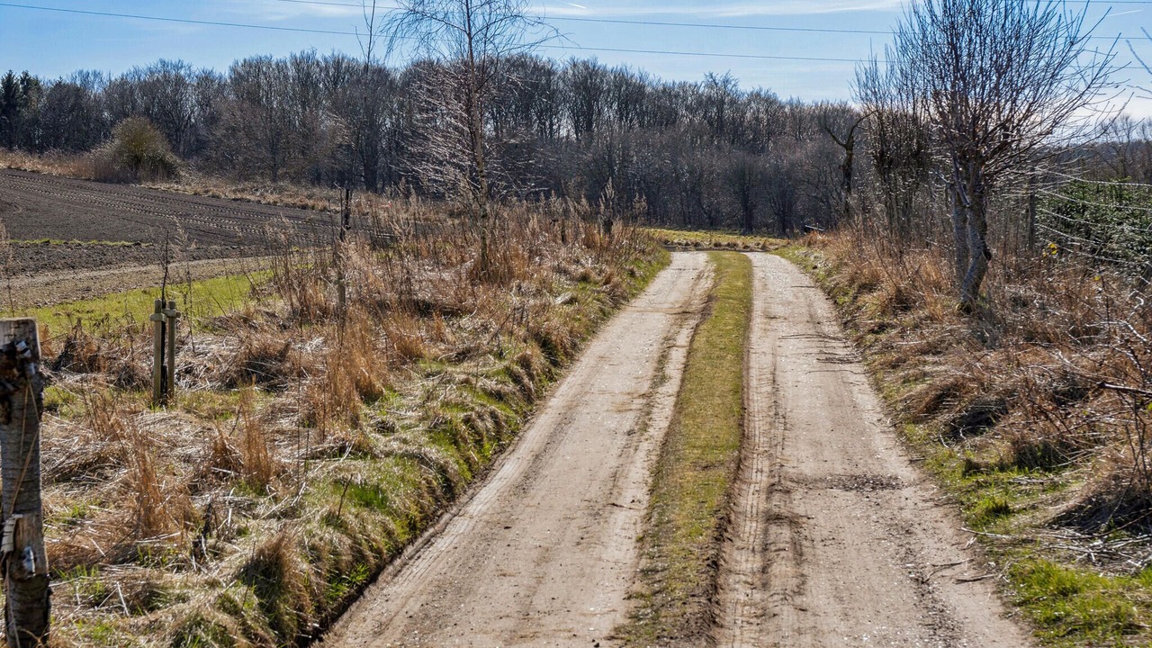 Photo of Others in Praesto