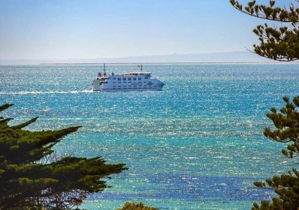 Photo of Others in Queenscliff