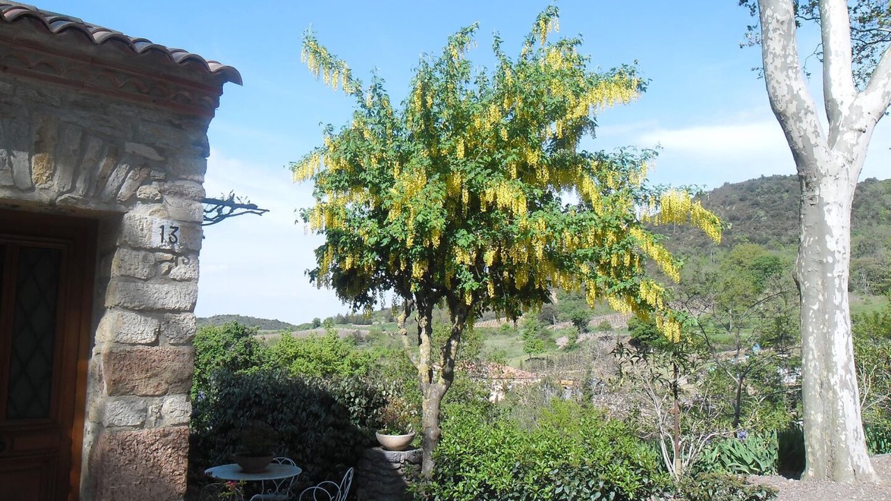 Photo of Outdoor in Quintillan