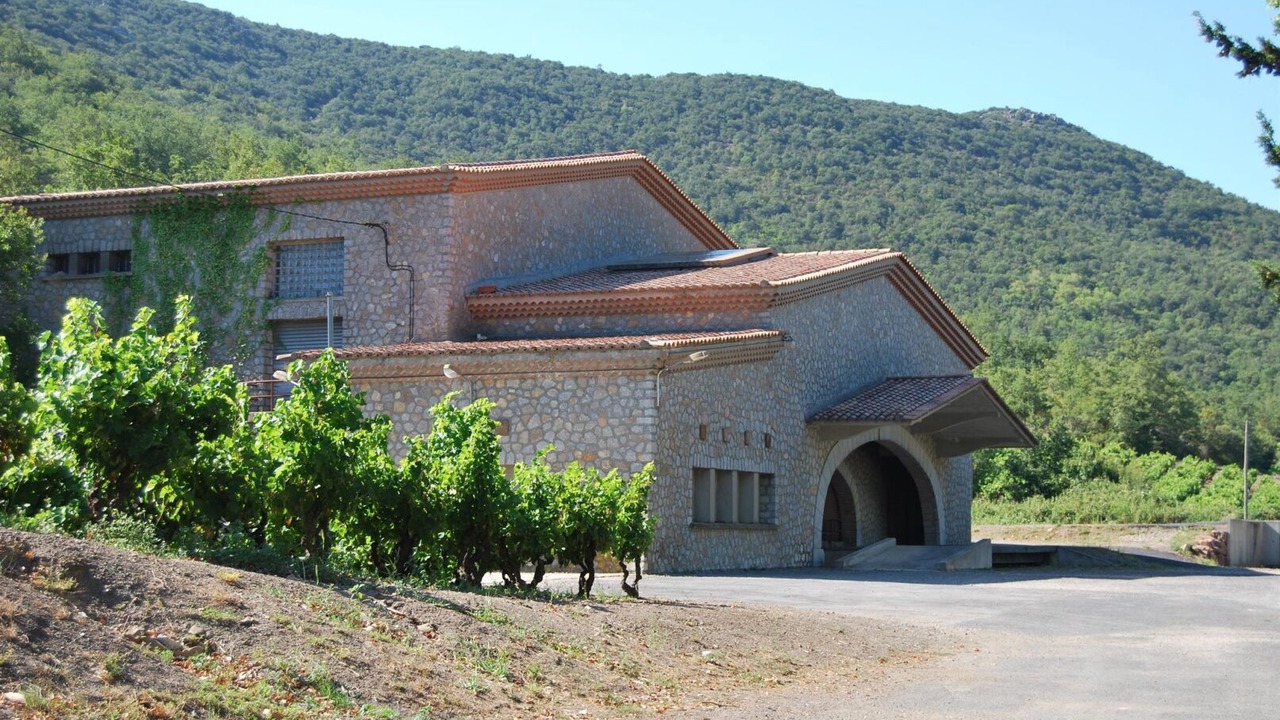 Photo of Outdoor in Quintillan