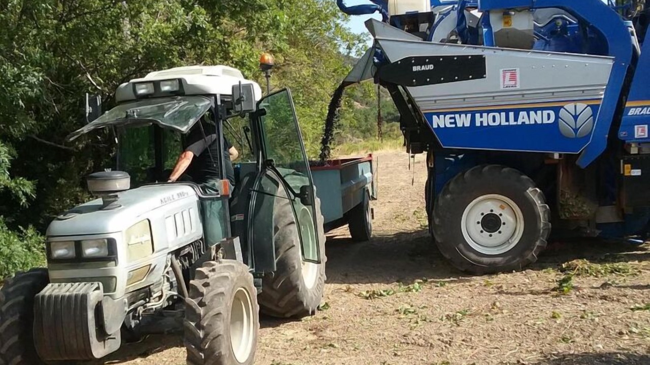 Photo of Others in Montgaillard