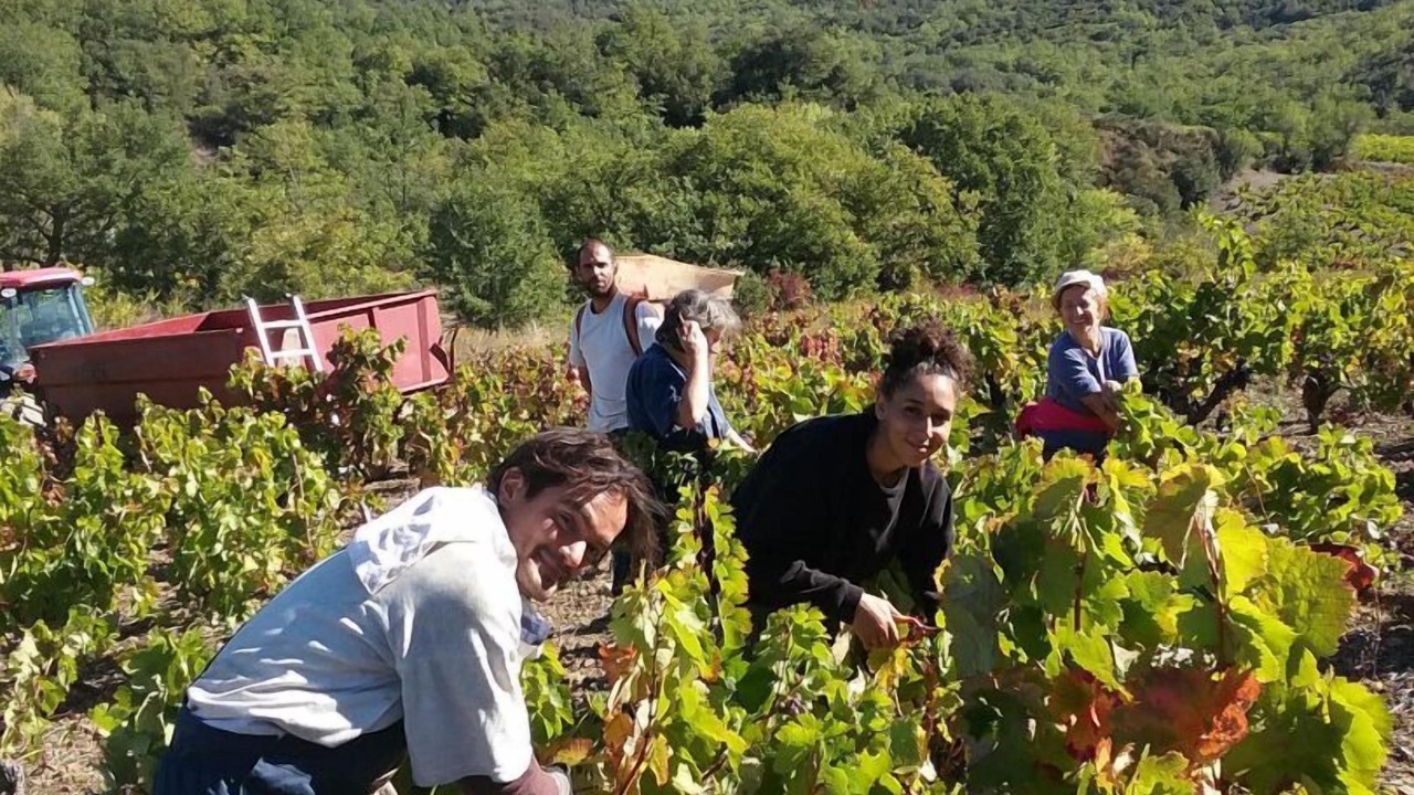 Photo of Others in Montgaillard