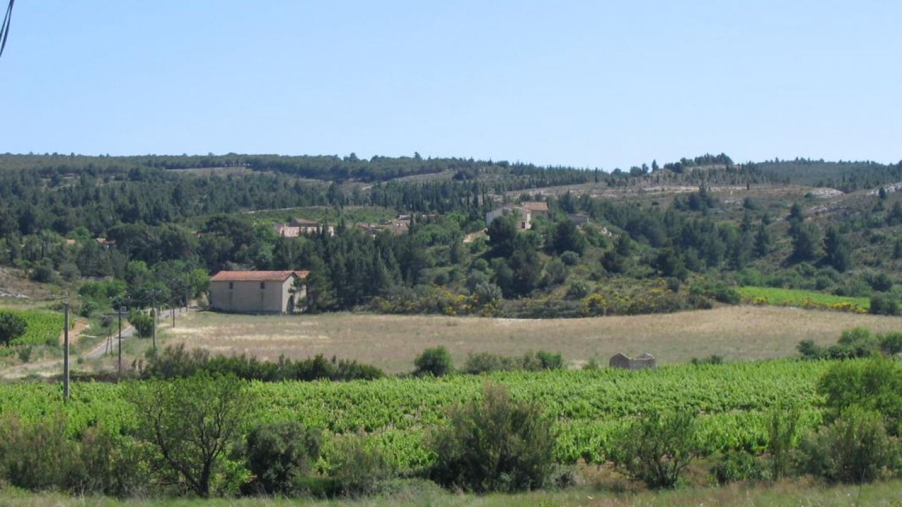 Photo of Others in Bages