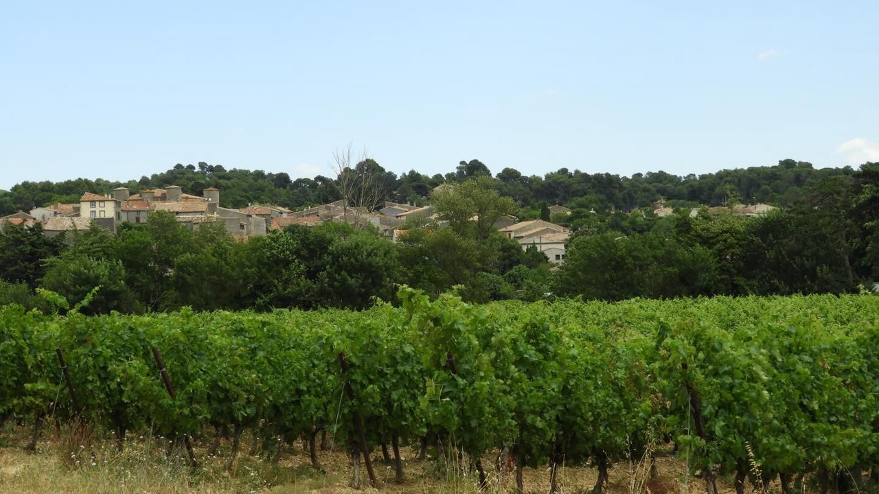 Photo of Others in Malves-en-Minervois